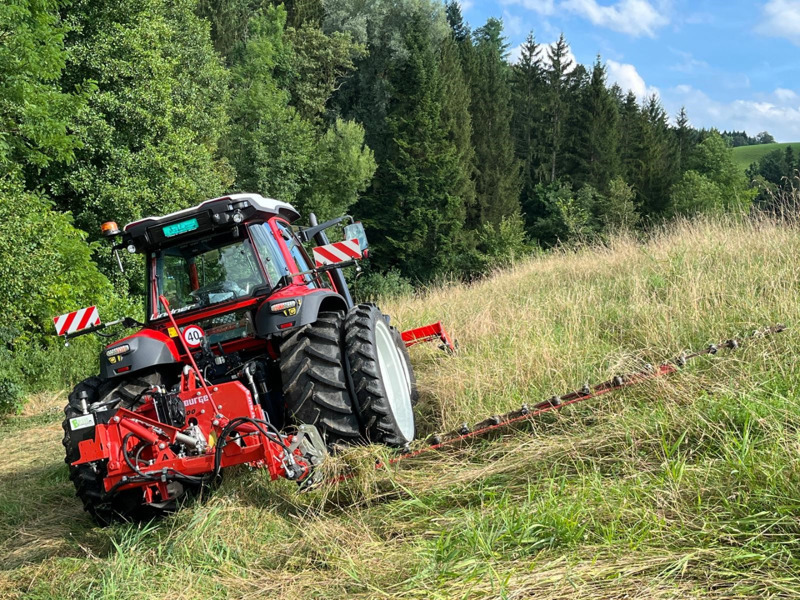 e2b1c1a7-7843-4d94-b02c-a859d25ebc90-IMG-20240809-WA0007 (002).jpg