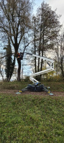 452713d0-a425-436f-8ee9-68549bc3d143-WhatsApp Bild 2025-09-26 um 09.jpg