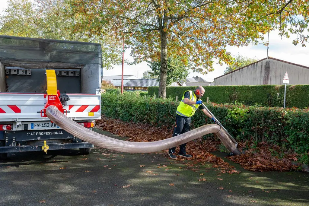 653a64f3-04df-419f-a600-2aa93df9c03a-Windy 286 RL_3.jpg