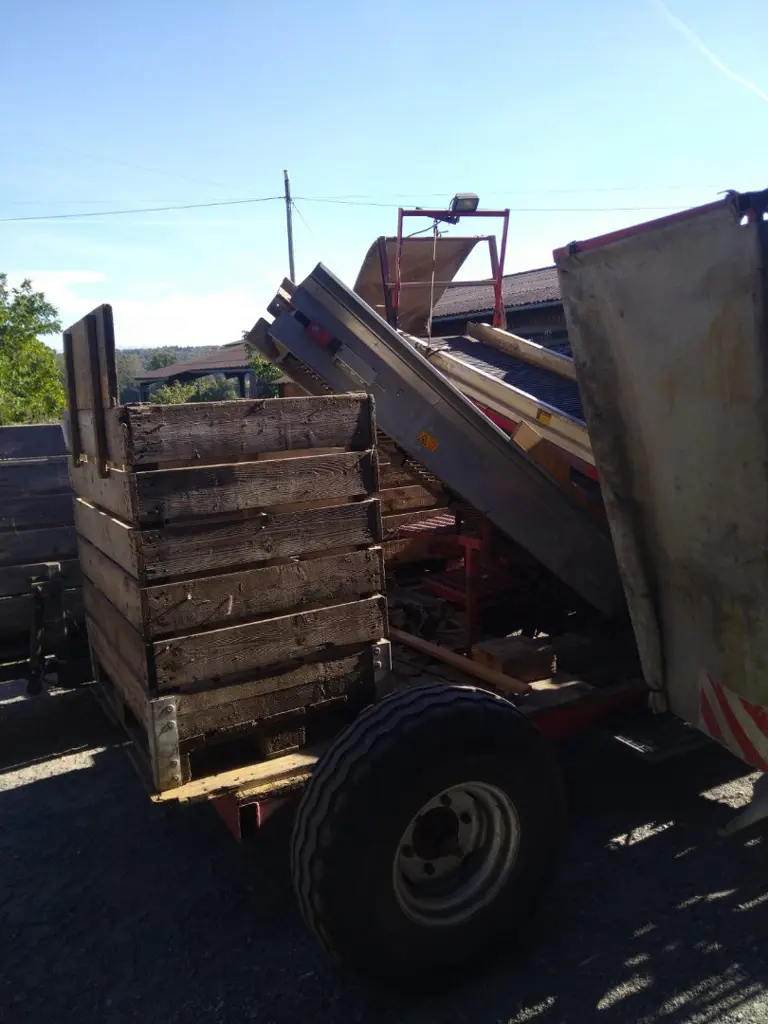 229c9daf-254b-415b-8e48-fa15833cce4a-IMG-20260929-WA0008.jpg