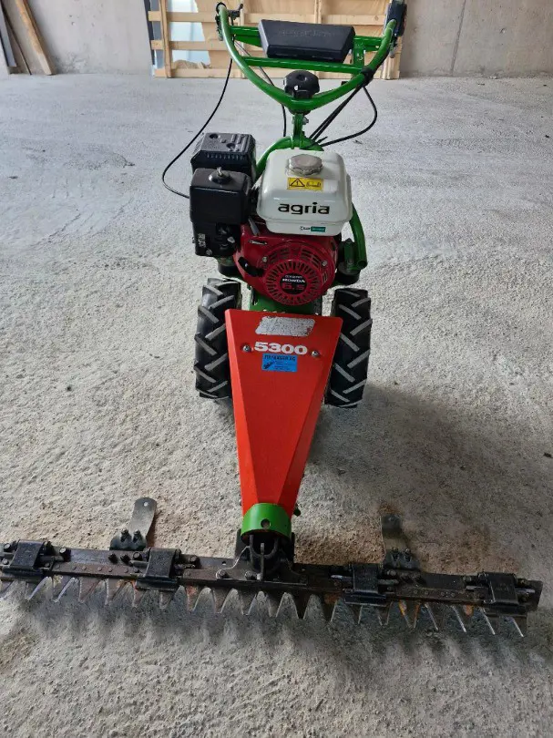 3c402c2b-995d-4e5c-a9ff-0822a01819a7-Occasion Agria 2.jpg