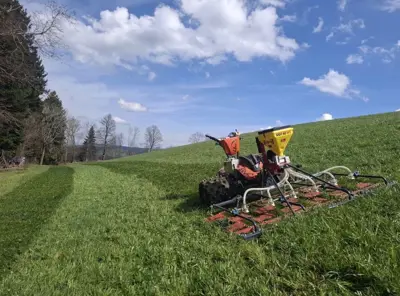 Wiesenegge zu Motormäher