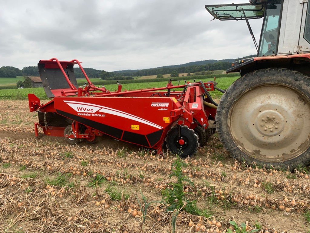 GRIMME Zwiebelroder WV 140 Bj. 2025