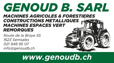 Chargeur télescopique Merlo TF 38.10 CS140