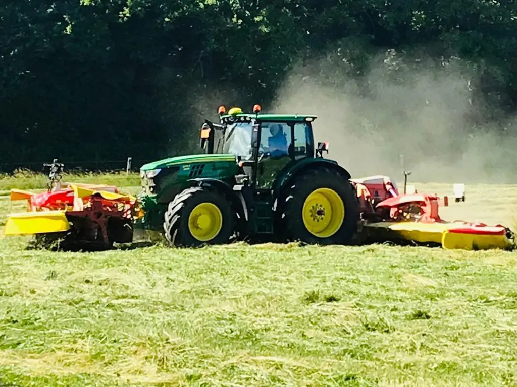 6750a965-4467-4881-9387-eb60cc4c58cb-PHOTO-2025-09-24-15-27-44 (3).jpg