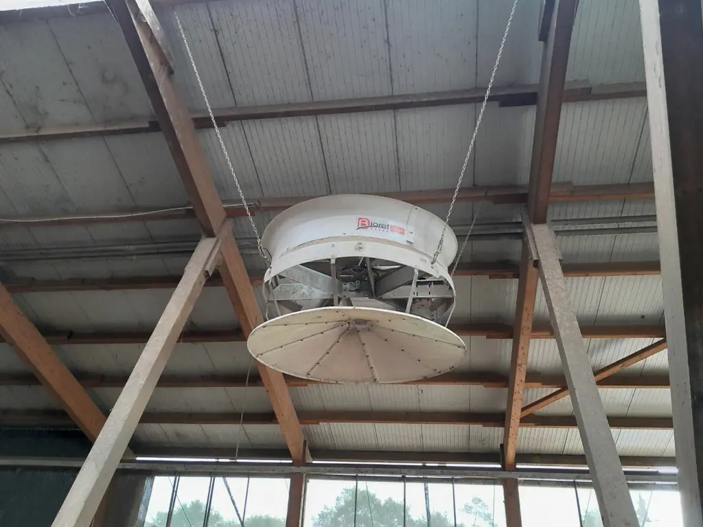 Ventilator / Stalllüfter / Grossraumlüfter für Deckenmontage