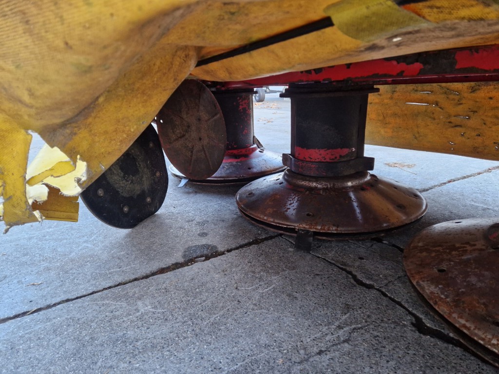 ce58acde-27f8-45c9-9973-9b3602ae49e3-Alpha motion iseli (5).jpg