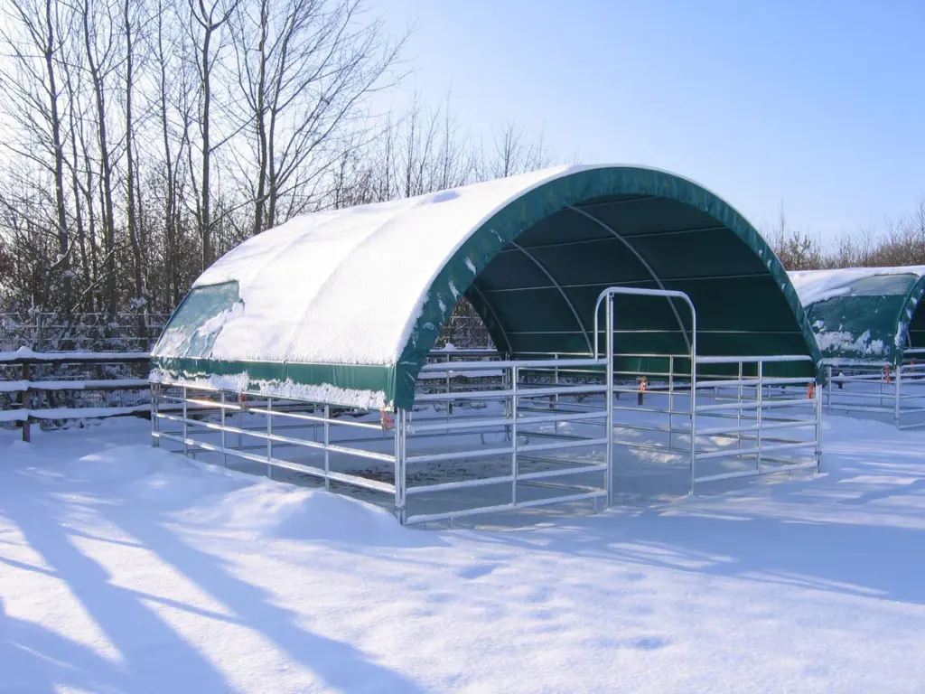 dc8d8c6f-bc62-4bd1-92dd-d808fbe54f04-Weideunterstand 6x6 m (16).jpg