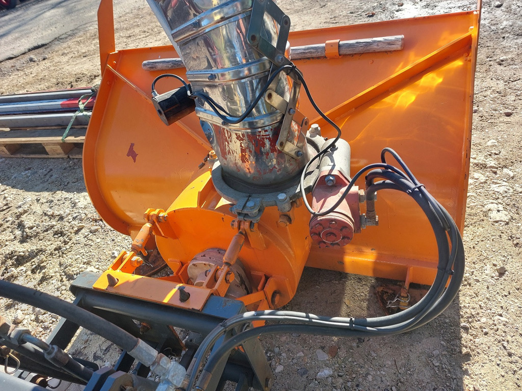 942dd6c5-1ebe-4aff-a7c9-cfe8ac444c3d-Iseki Bonny.jpg