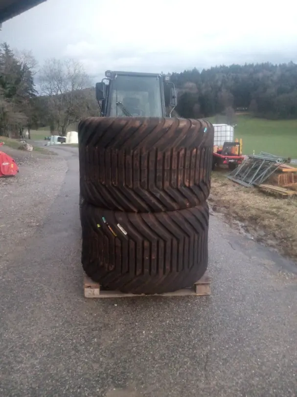 05bfc93f-eafd-4648-afd0-3ce04164a7d7-Alli 80045x265 II.jpg