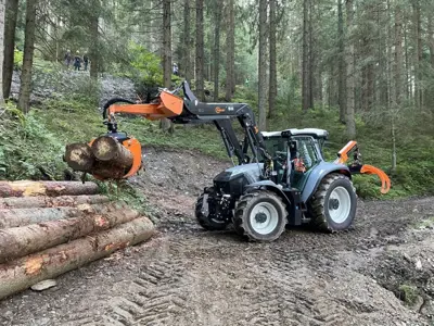 Hauer Holzzange HZ 230 - S