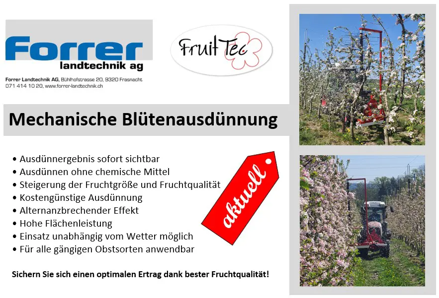 120017df-25ec-4fd1-8077-9ea1e8b39ba7-Mechanische Ausdünnung.png