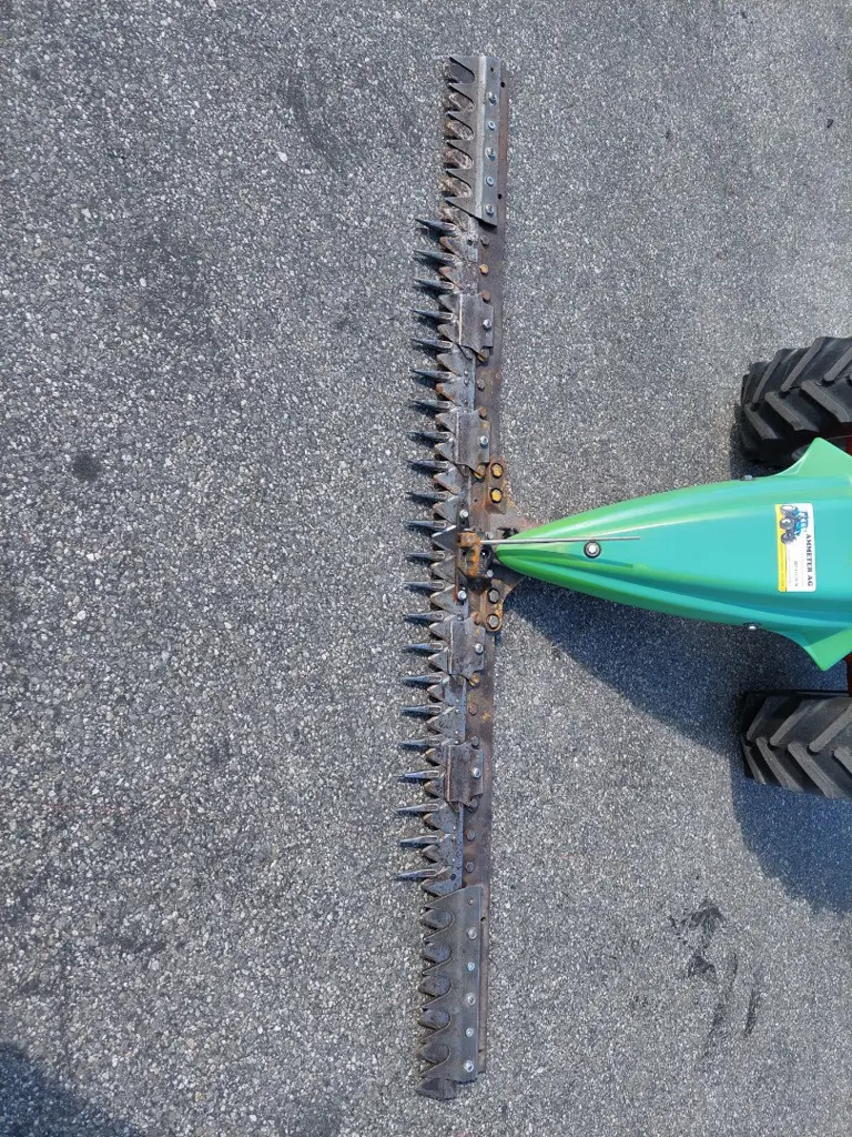 96bb0dfa-f78f-4b43-b5b5-1dca465f47c9-20260806_164122_2MB.jpg
