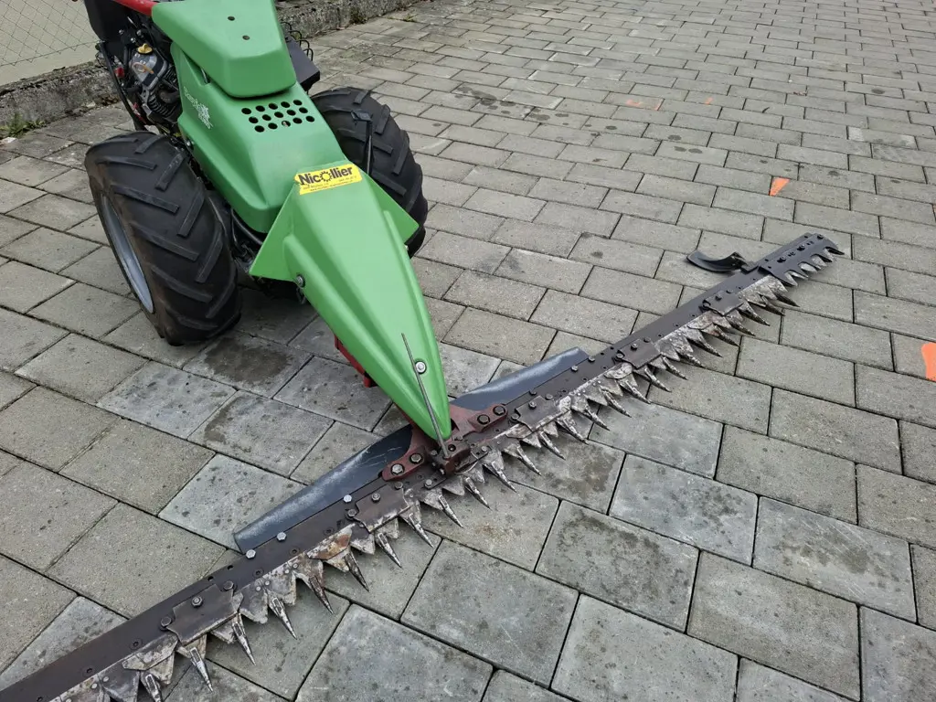 e24cc708-51fe-43f9-8756-8d0549b76be4-WhatsApp Image 2026-04-04 at 11.jpg