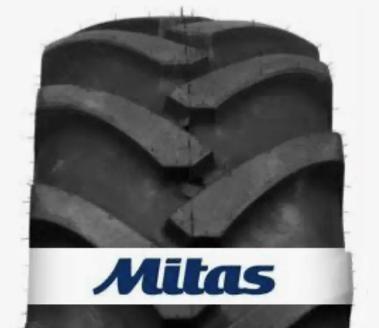 3a3e09b8-b0c9-4926-b844-cd13625cc293-Foto 2.jpg