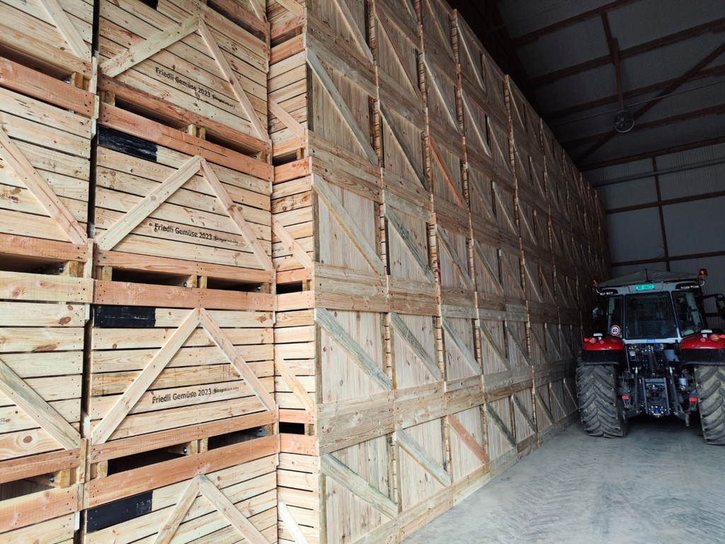 Grosspaloxen Paloxen Netagco - 246