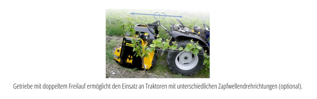 a5623740-d6d2-4125-a125-1196b74af988-Screenshot 2025-03-29 170304.png