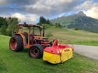 Knüsel Blitz Mähwerk 260