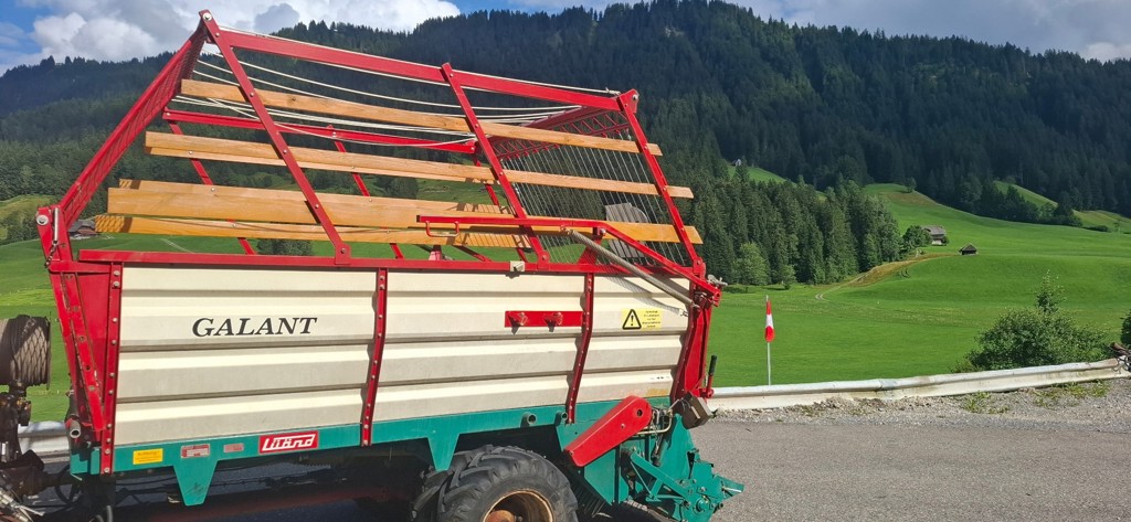 2f0353b1-3e58-4a52-944f-c1661e07428f-lüö9 20250729_173057.jpg