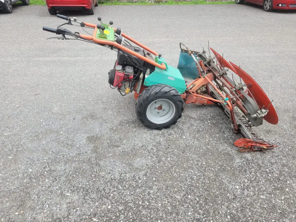 0a44175e-2f69-4975-b00a-cc0e2de9a494-WhatsApp Image 2025-10-06 at 15.jpg