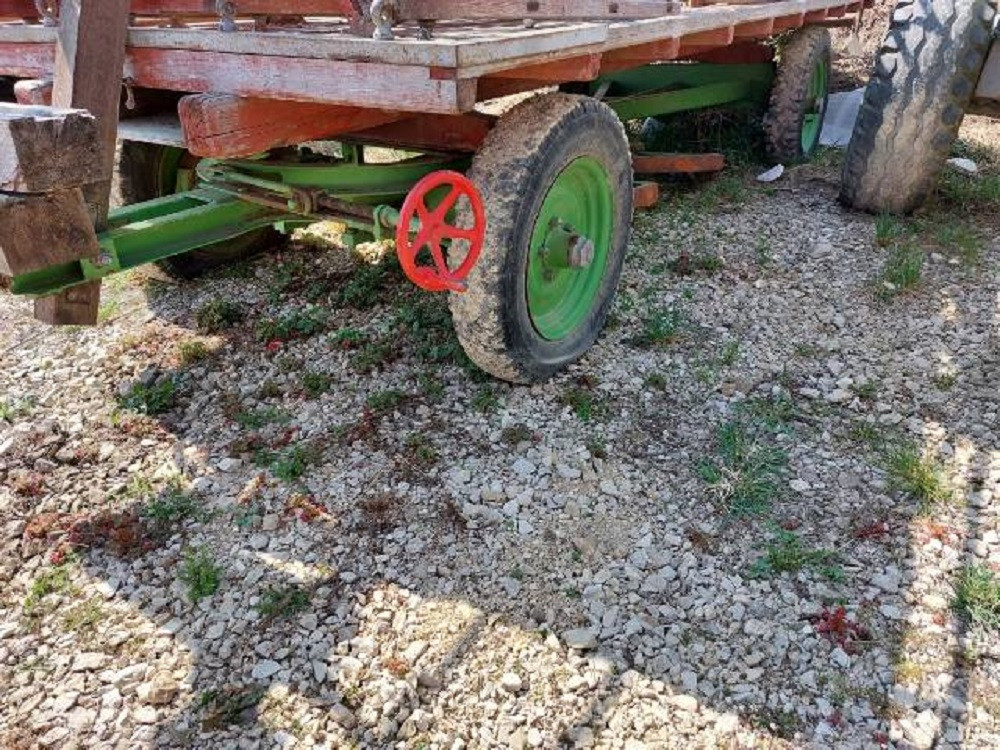 3cf720f3-7689-47cb-8570-72b0bd2a6c9c-Char Grossenbacher (3).jpg