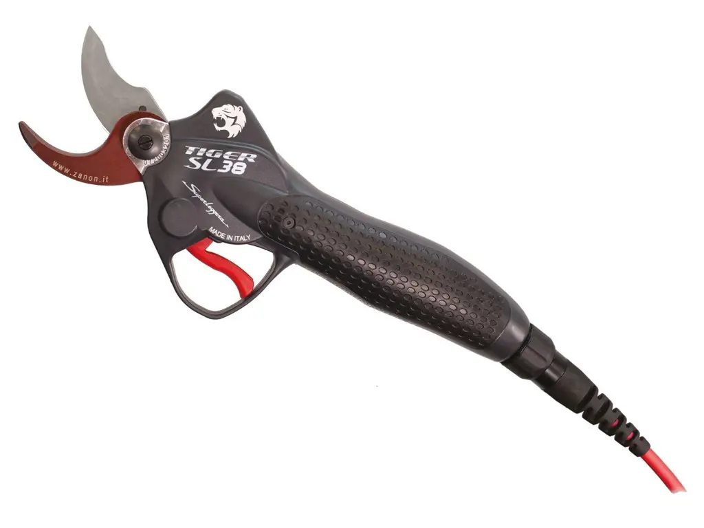 Schere Zanon Tiger SL 38