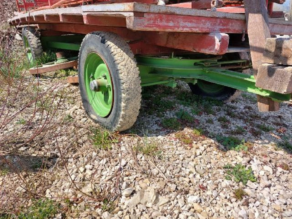 598466c4-1191-4343-aa03-8ef17d4cad55-Char Grossenbacher (1).jpg