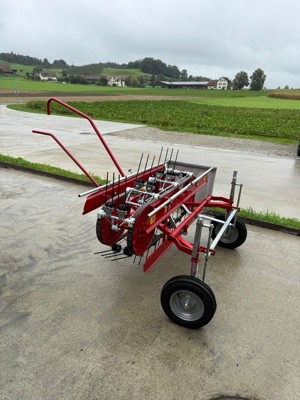 Bandschwader zu Rapid