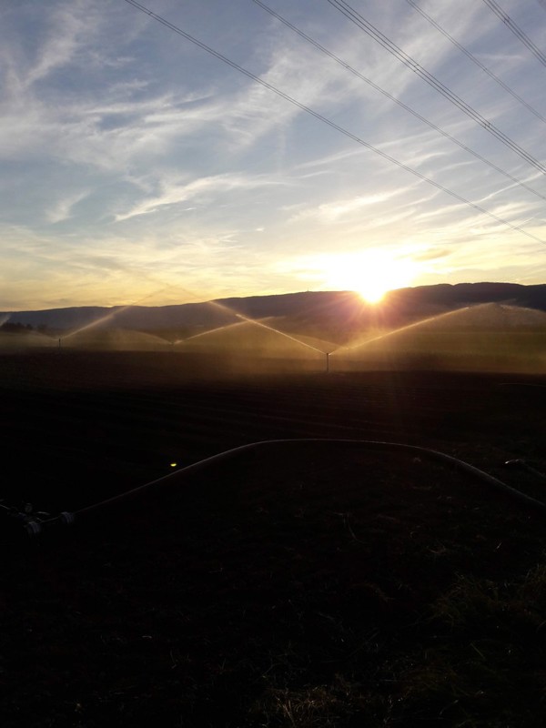 05f78dea-71c6-41f2-ba4b-5ee6a1159a9a-Beregnung 2.jpg