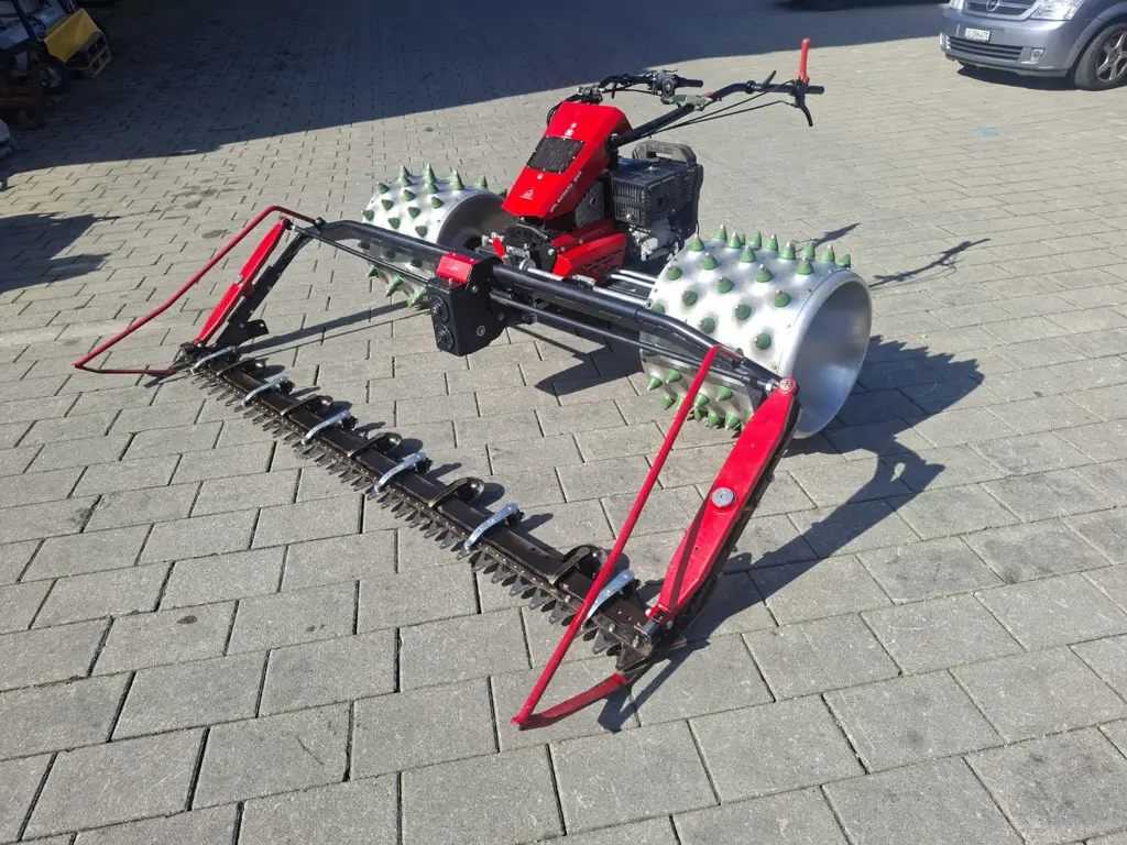 d1284a91-bfea-4642-90fc-581c23845354-WhatsApp Image 2026-04-18 at 11.57.36 (4).jpg