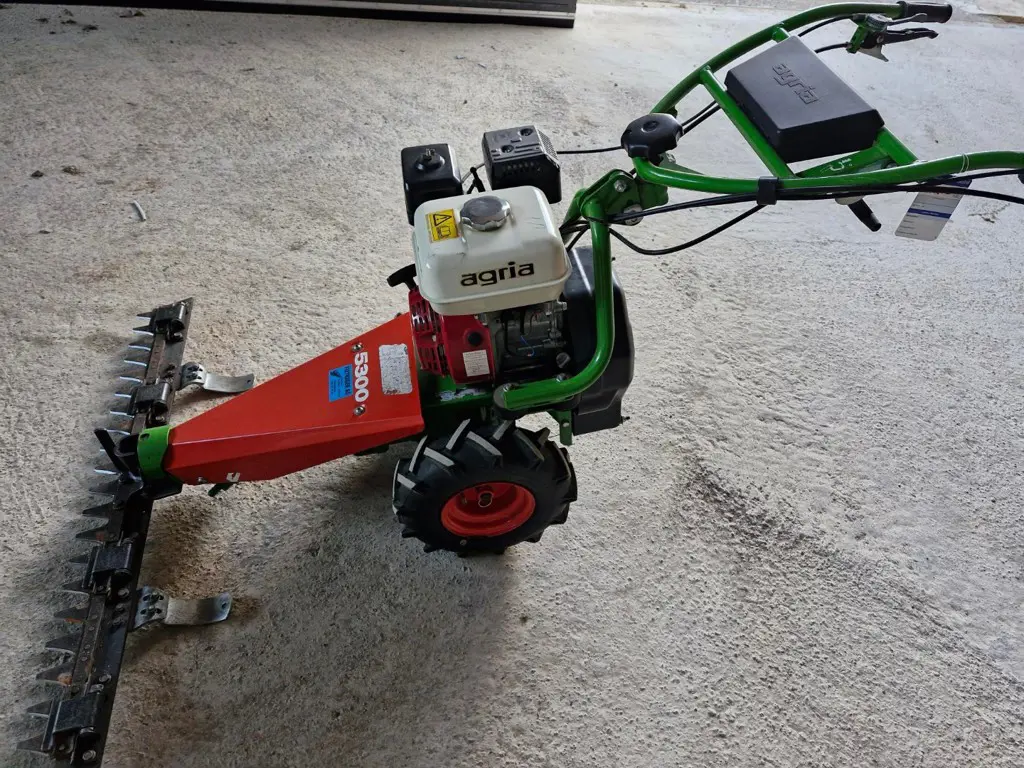 c06ea2db-bf44-4683-9d47-76aa8a6d2a6b-Occasion Agria 1.jpg