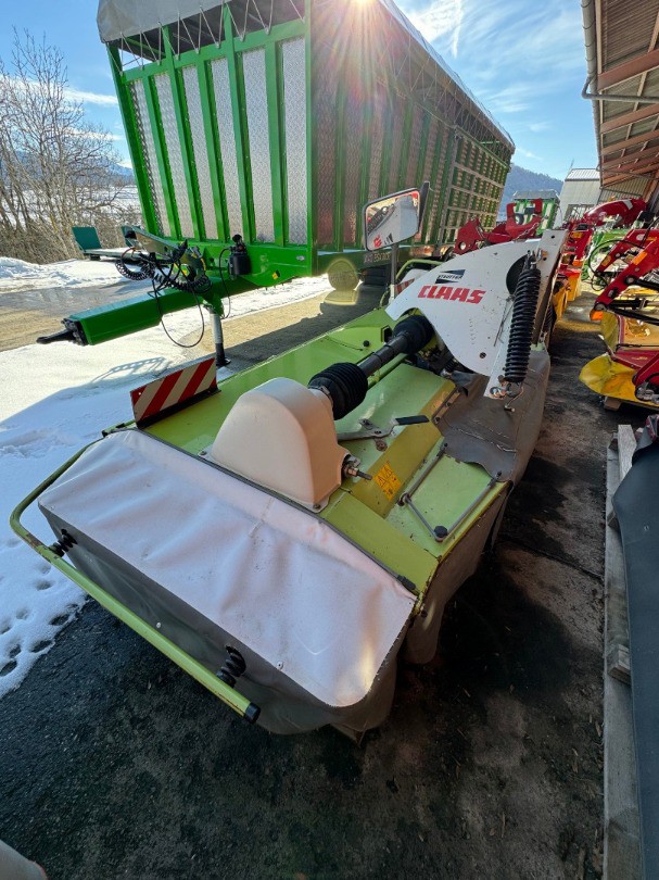 6ea1130f-8509-40fb-92f3-1f975beacf4a-Photo 14.01.26 11 32 57.jpg