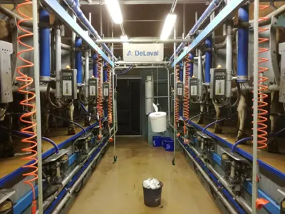 DeLaval Fischgrätenmelkstand 2 x 5