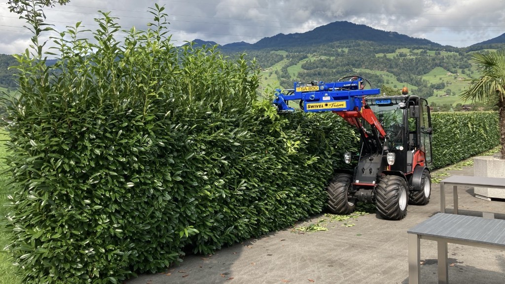 b6f1ec38-55c2-4256-9ad5-a24af5301706-WhatsApp Image 2025-10-01 at 11.30.32 (1).jpg