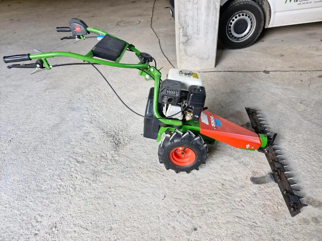 1cfc54ad-6075-486d-961c-33b52ec43136-Occasion Agria 4.jpg