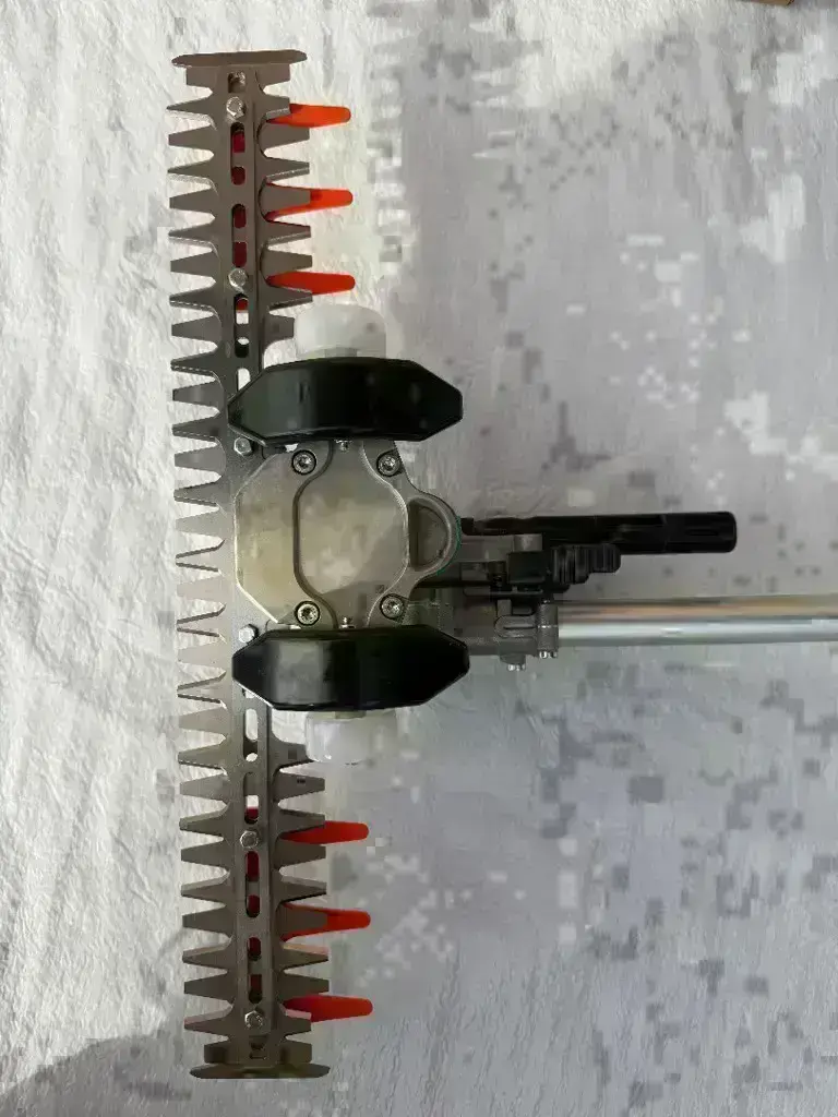 7d1d9966-f6ce-4787-85f3-4228f7a72f31-IMG_1081.jpg