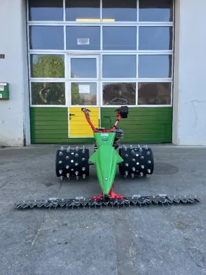 Rapid Swiss