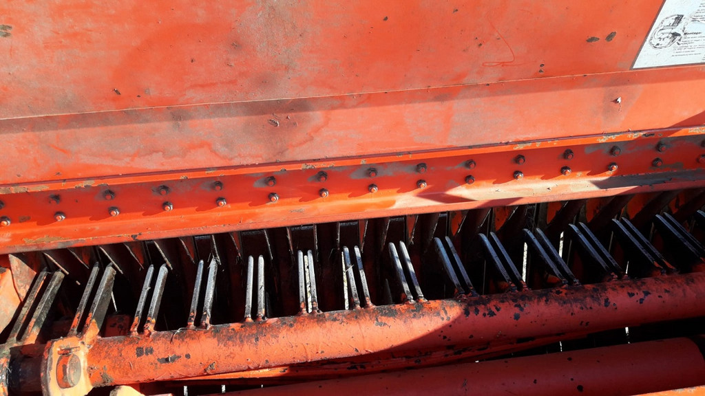 4459fbd1-f893-4d57-98bf-44696892e58d-Kemper Boillat (3).jpg