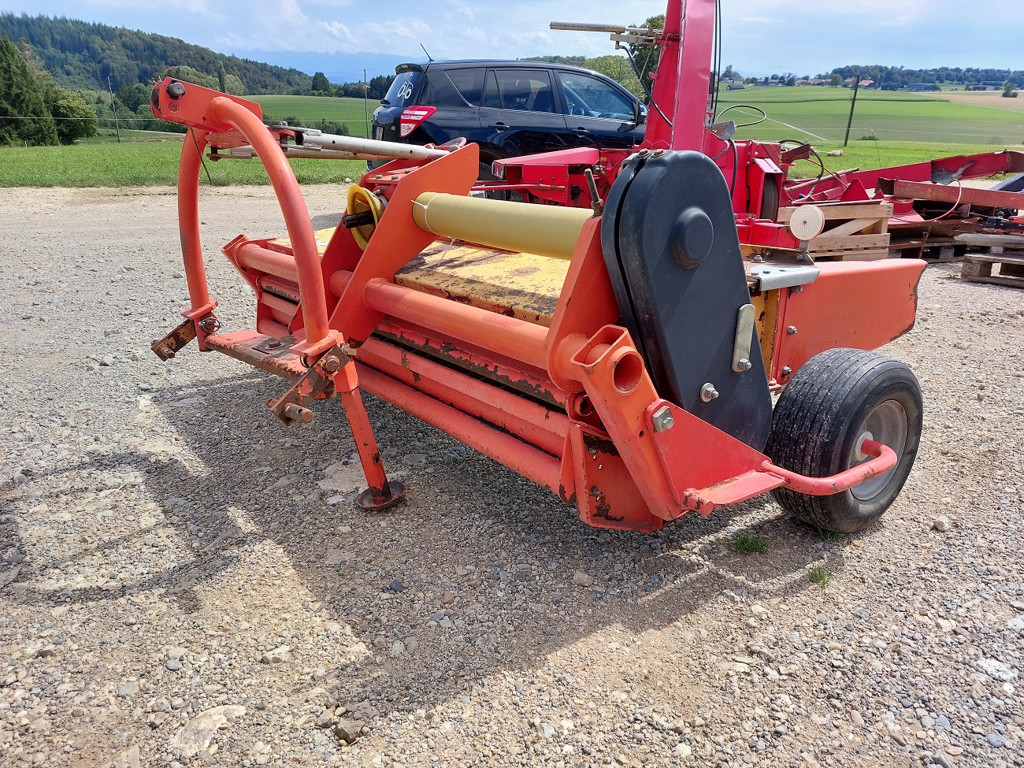 3c84cb2e-26a3-4fe7-8556-ce81e3275e81-Fella Stauffer  (3).jpg