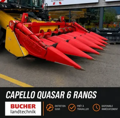 Capello Quasar 6 rangs