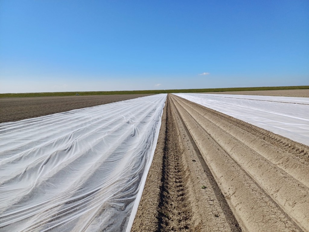 4790a133-abac-4aba-89cd-e9cffaf16a79-MOM Vlies.jpg