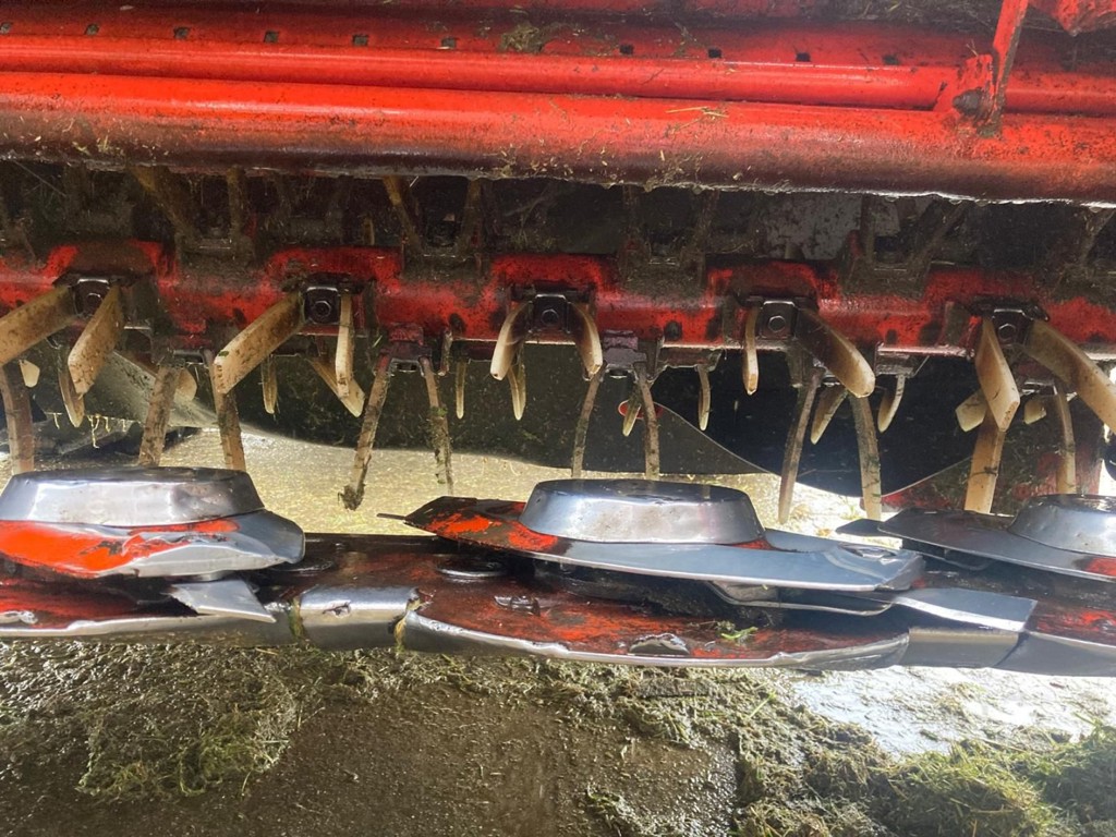 480c779a-196f-4d0c-9903-facde3ef3898-WhatsApp Image 2025-07-14 at 12.jpg