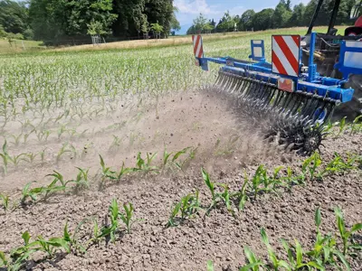 Hackgerät Sternhacke CARRE