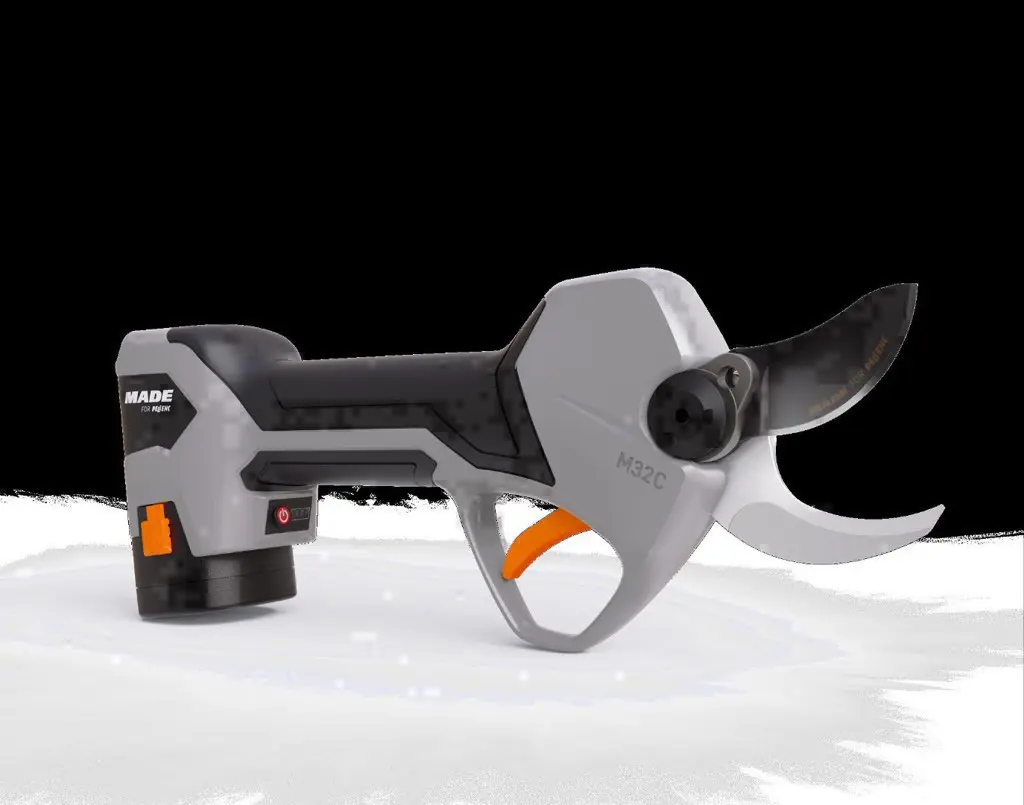 ce818a8d-5e26-4867-bf34-315e88d377ea-IMG_0323.jpg