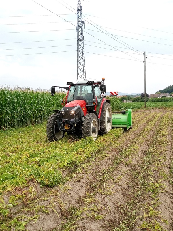 Lindner Lintrac Pflegetraktor Stufenlos
