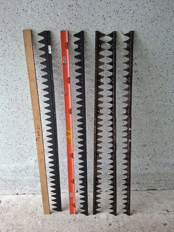 578ad2d9-6b59-4510-bae3-77048b44e16e-WhatsApp Image 202f6-01-17 at 14.jpg