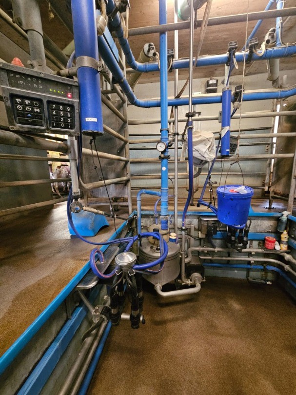 8af8f938-b3e4-4584-8da4-e0c7caae0ec4-WhatsApp Bild 2025-09-29 um 21.jpg