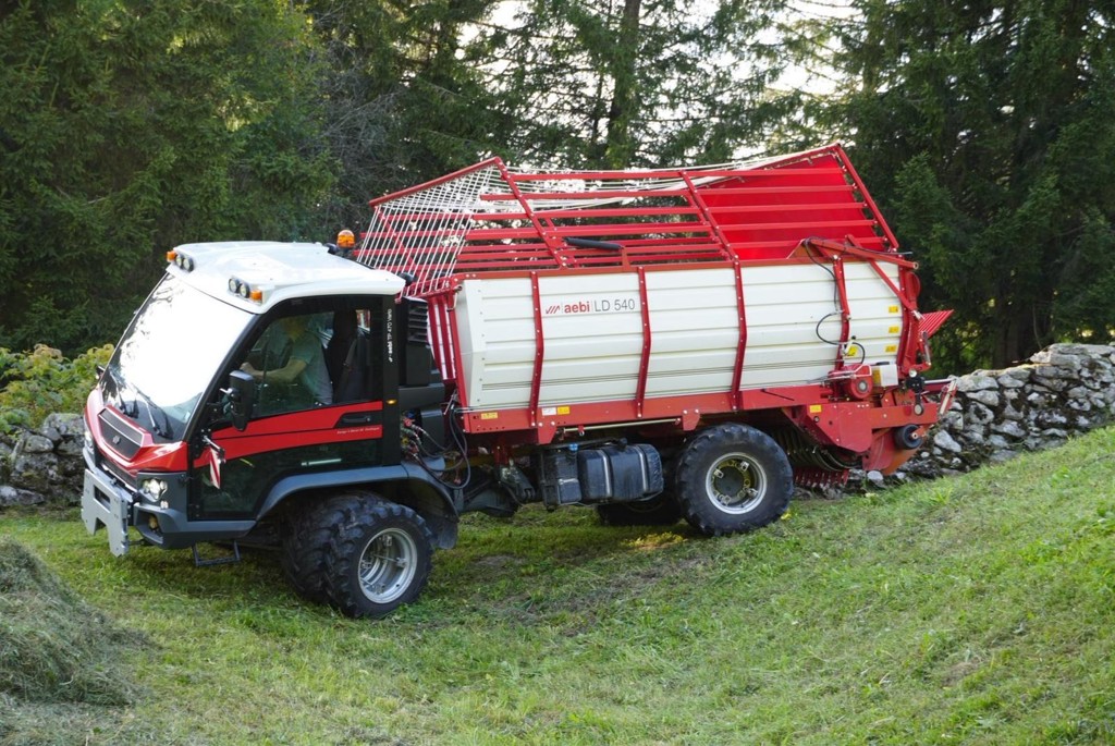 bee23f7a-7863-4ff5-a747-3f0e8ed95a8b-WhatsApp Bild 2025-10-27 um 17.jpg