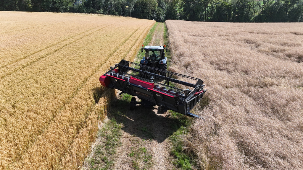 e2ee44eb-3cb0-479e-bd15-283076d2d6a8-DJI_20250708224820_0198_D (3) Full HD (Gross)).jpg