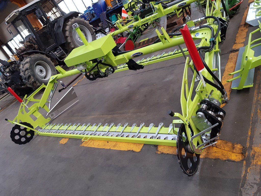 f6a8d58f-679d-4ca0-be6b-3d24fe91911f-Chamäleon 330X.jpg